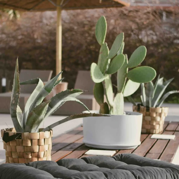 la casa di lusso outdoor 5